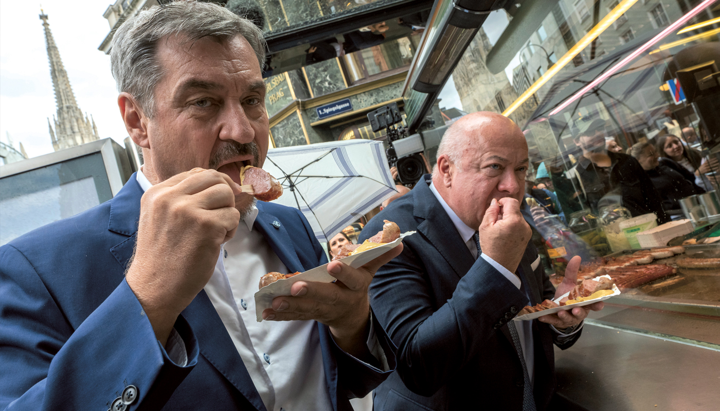 G-f-llte-Haut-mit-zwei-Zipf-
