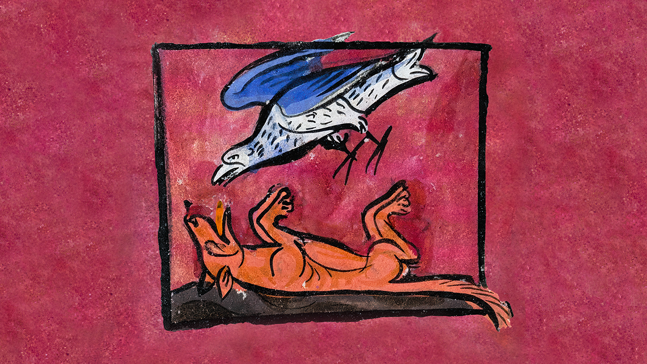 Gebrauchsanweisung-f-r-die-Viennale