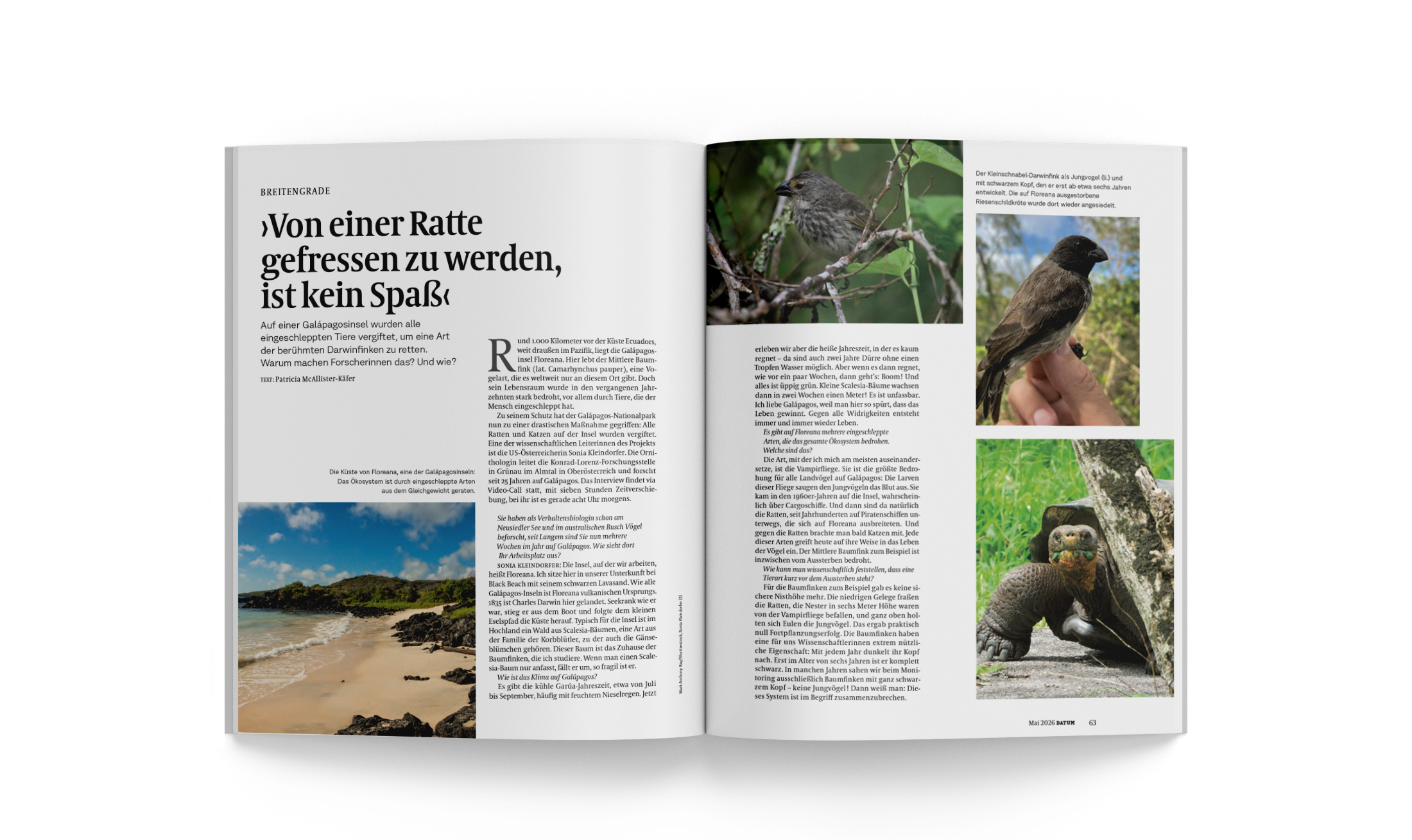 -Von-einer-Ratte-gefressen-zu-werden-ist-kein-Spa-